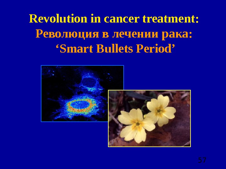  57 Revolution in cancer treatment: Революция в лечении рака:  ‘Smart Bullets Period’ 