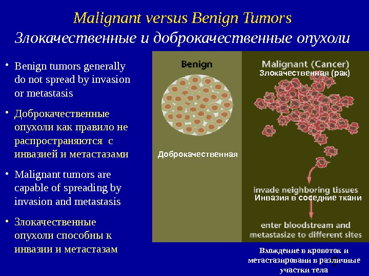  9 • Benign tumors generally do not spread by invasion or metastasis • Доброкачественные опухоли