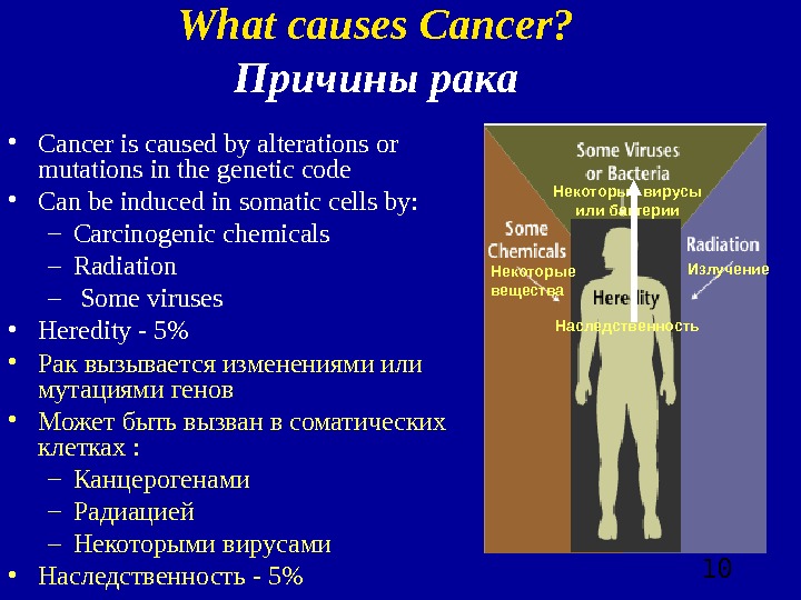  10 What causes Cancer? Причины рака • Cancer is caused by alterations or mutations in