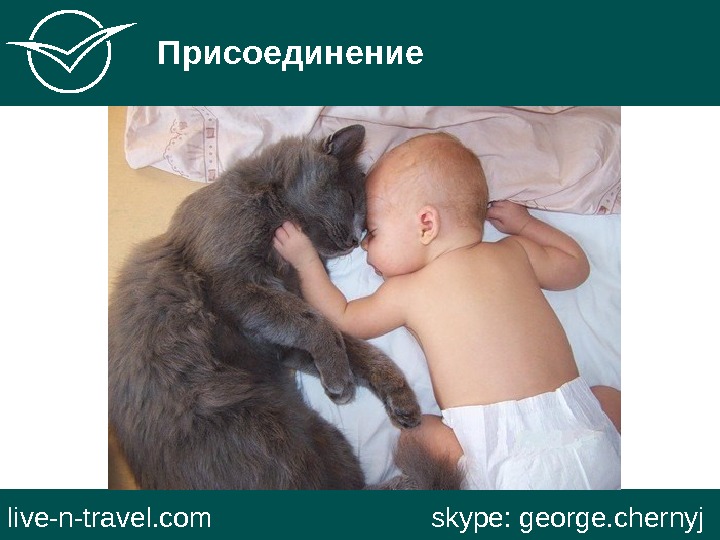   Присоединение live-n-travel. com     skype: george. chernyj 