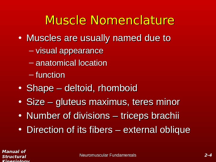 Manual of Structural Kinesiology Neuromuscular Fundamentals 2 -2 - 44 Muscle Nomenclature • Muscles are usually