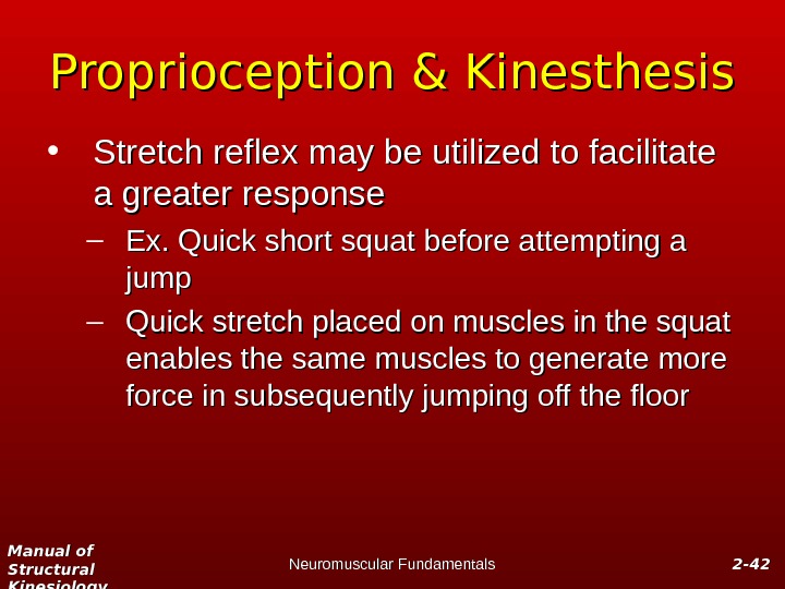 Manual of Structural Kinesiology Neuromuscular Fundamentals 2 -2 - 4242 Proprioception & Kinesthesis • Stretch reflex