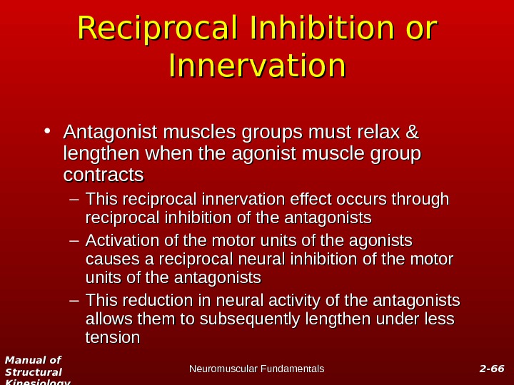 Manual of Structural Kinesiology Neuromuscular Fundamentals 2 -2 - 6666 Reciprocal Inhibition or Innervation • Antagonist