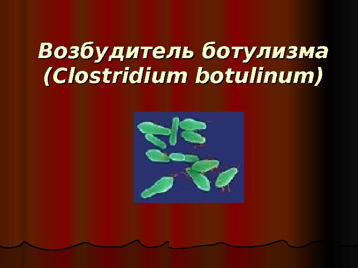Возбудитель ботулизма (( Clostridium botulinum) 
