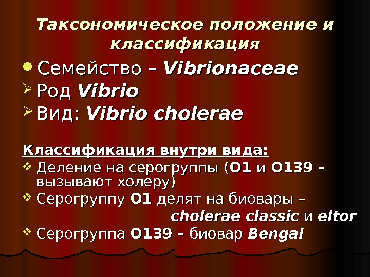 Таксономическое положение и классификация Семейство – Vibrionaceae Род  Vibrio Вид:  Vibrio cholerae Классификация внутри