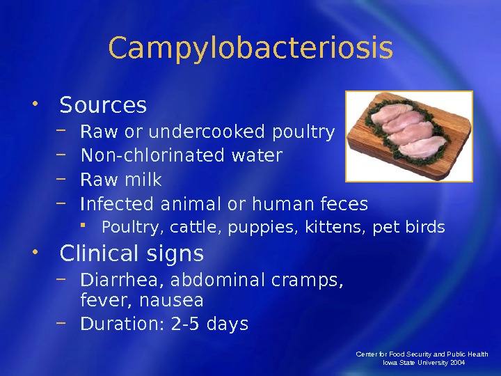 Center for Food Security and Public Health  Iowa State University 2004 Campylobacteriosis • Sources 
