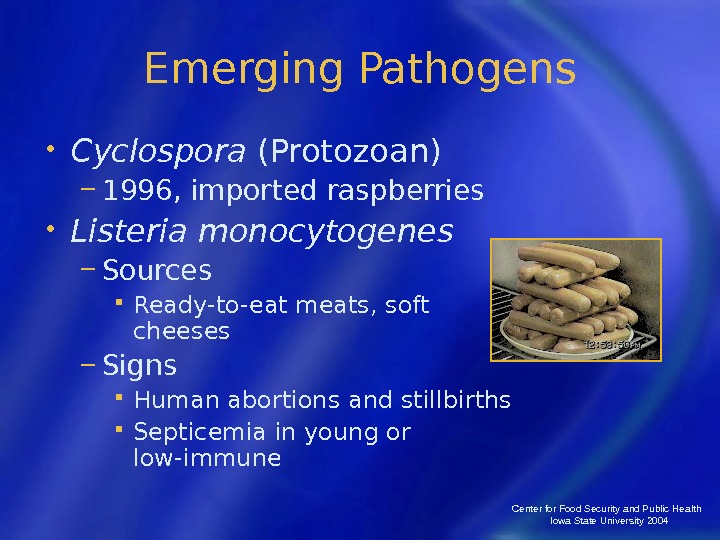 Center for Food Security and Public Health  Iowa State University 2004 Emerging Pathogens • Cyclospora