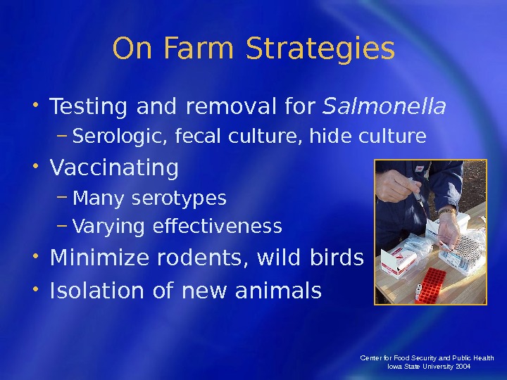 Center for Food Security and Public Health  Iowa State University 2004 On Farm Strategies •