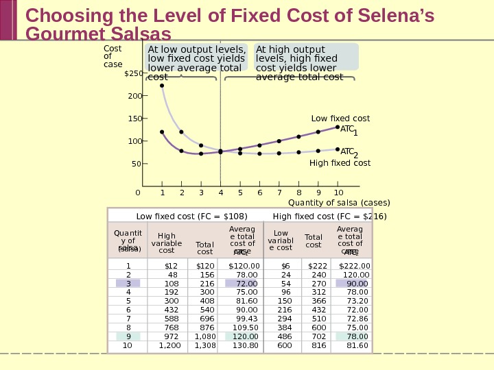 Choosing the Level of Fixed Cost of Selena’s Gourmet Salsas A T C 1 12 48