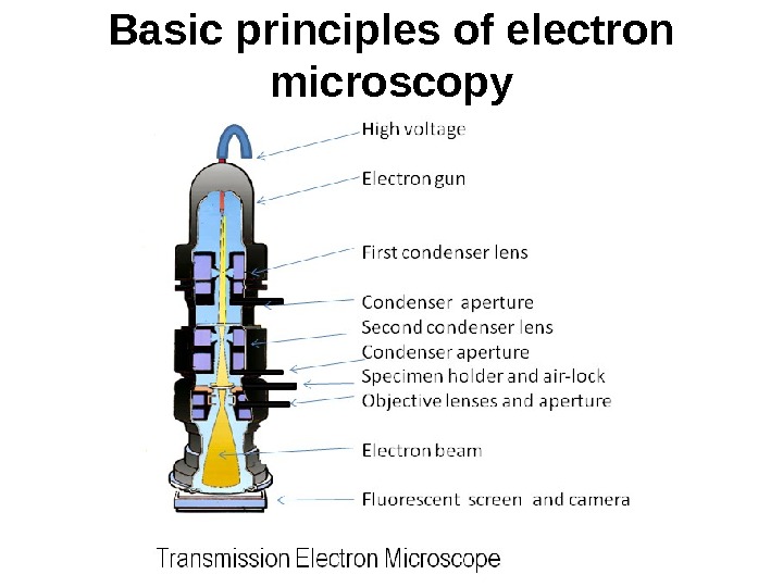 Basic principles of electron microscopy 