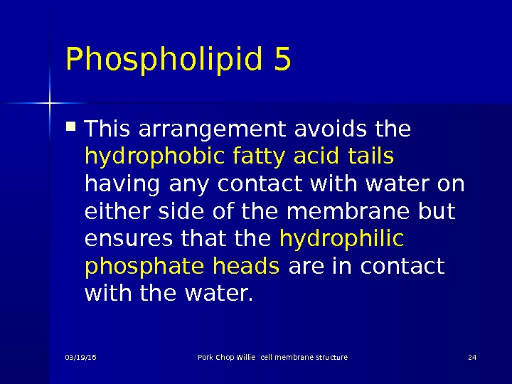Phospholipid 5 This arrangement avoids the hydrophobic fatty acid tails having any contact with water on