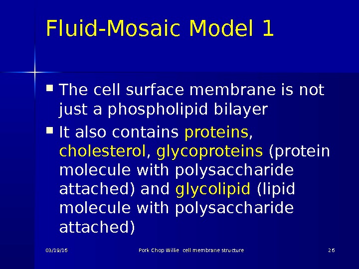 Fluid-Mosaic Model 1 The cell surface membrane is not just a phospholipid bilayer It also contains
