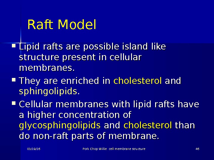 Raft Model Lipid rafts are possible island like structure present in cellular membranes.  They are
