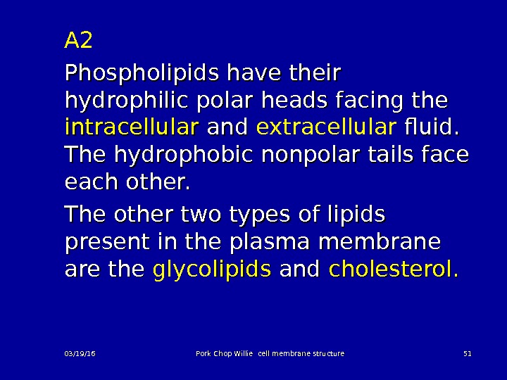 A 2 Phospholipids have their hydrophilic polar heads facing the intracellular and extracellular fluid.  The
