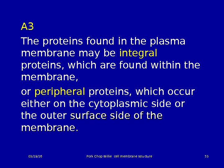 A 3 The proteins found in the plasma membrane may be integral  proteins, which are