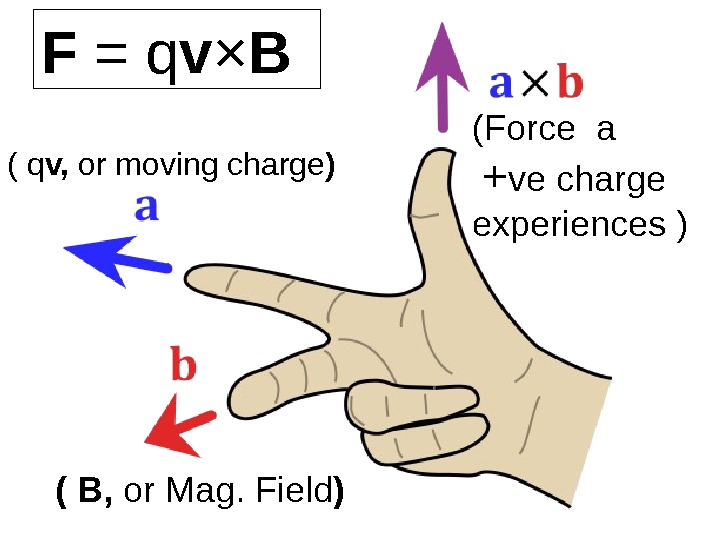 F = q v × B (Force a  + ve charge experiences )( q v,