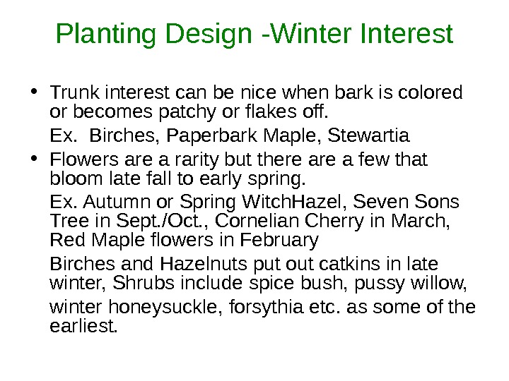 Planting Design -Winter Interest • Trunk interest can be nice when bark is colored or becomes