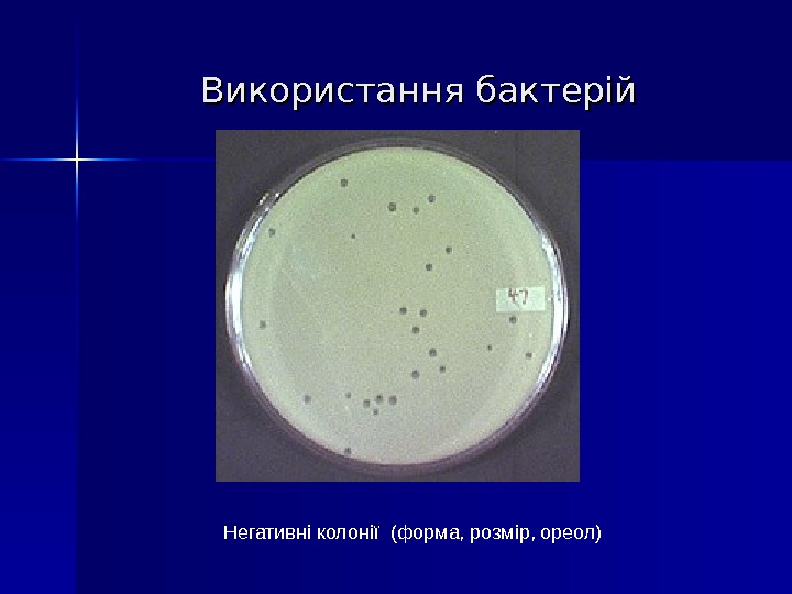 Використання бактерій Негативні колонії (форма, розмір, ореол) 