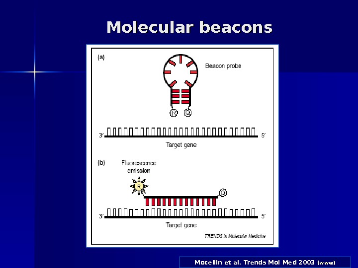 Mocellin et al. Trends Mol Med 2003  (www)Molecular beacons 