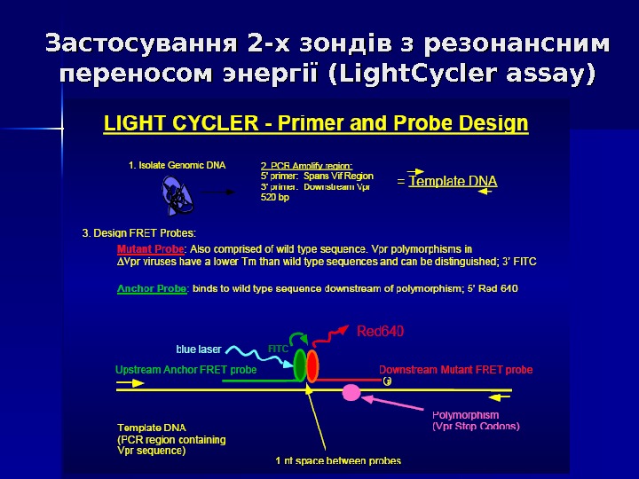 Застосування 2 -х зондів з резонансним переносом энергії (Light. Cycler assay) 