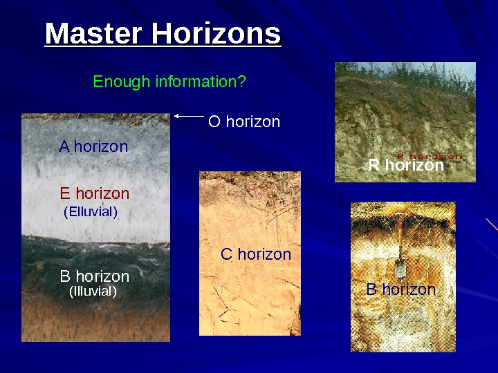   E horizon. A horizon B horizon (Illuvial)(Elluvial) C horizon R horizon. O horizon. Master