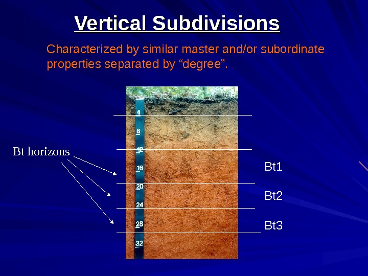   Vertical Subdivisions Characterized by similar master and/or subordinate properties separated by “degree”. Bt 1