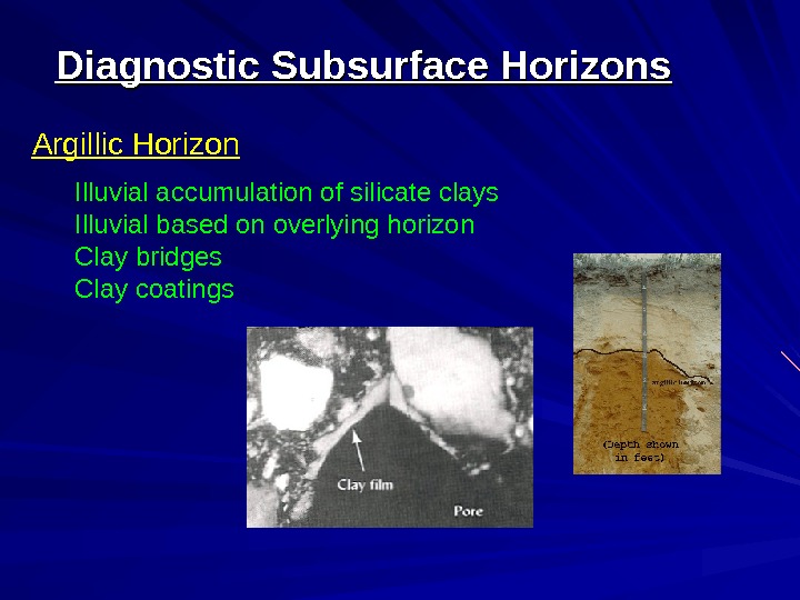   Argillic Horizon Illuvial accumulation of silicate clays  Illuvial based on overlying horizon Clay