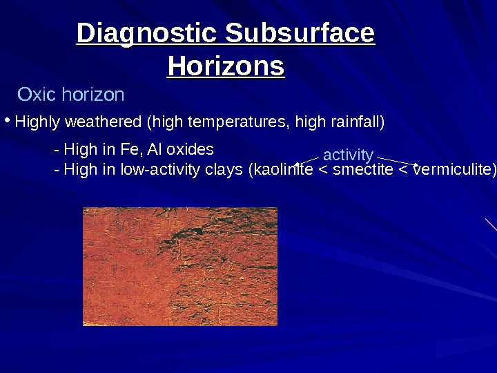   Diagnostic Subsurface Horizons Oxic horizon •  Highly weathered (high temperatures, high rainfall) -