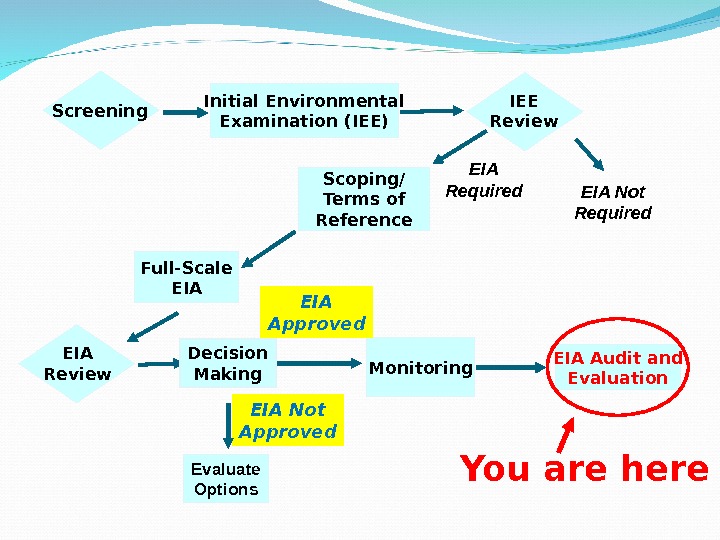 Screening Initial Environmental Examination (IEE) EIA Not Required. EIA Required Monitoring EIA Audit and Evaluation. IEE