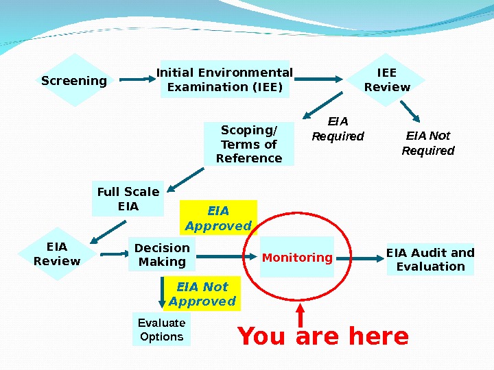 Screening Initial Environmental Examination (IEE) EIA Not Required. EIA Required Monitoring EIA Audit and Evaluation. IEE