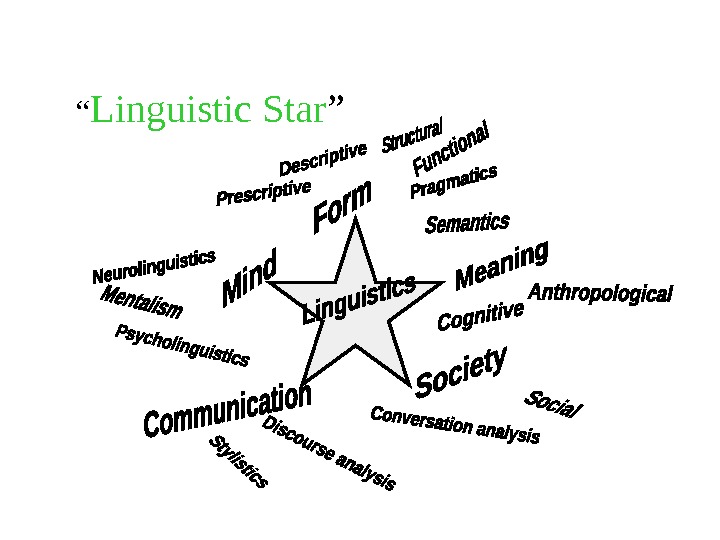  “ Linguistic Star ”      