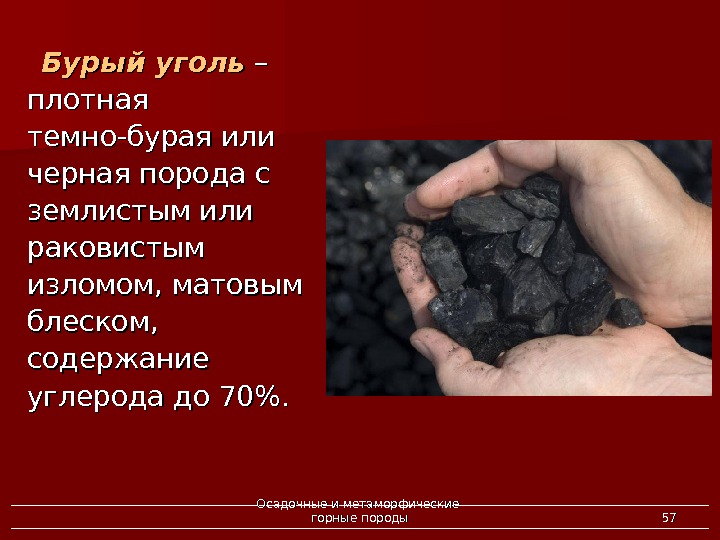 Осадочные и метаморфические  горные породы 5757Бурый уголь – – плотная темно-бурая или черная порода с