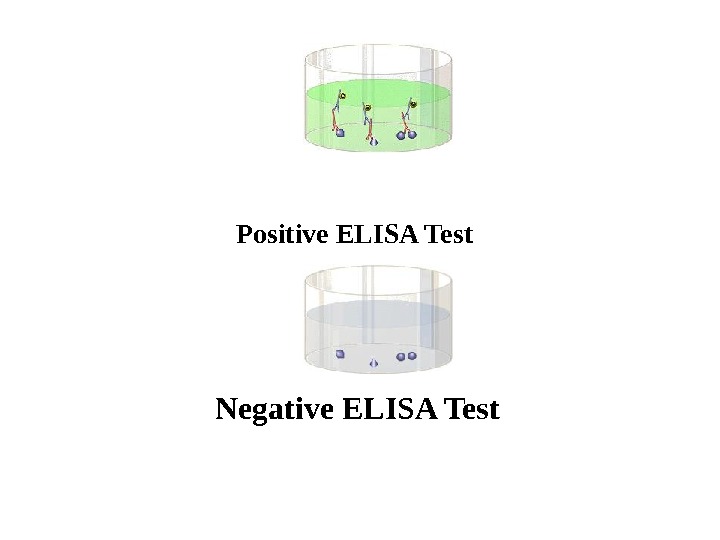   Positive ELISA Test   Negative ELISA Test 