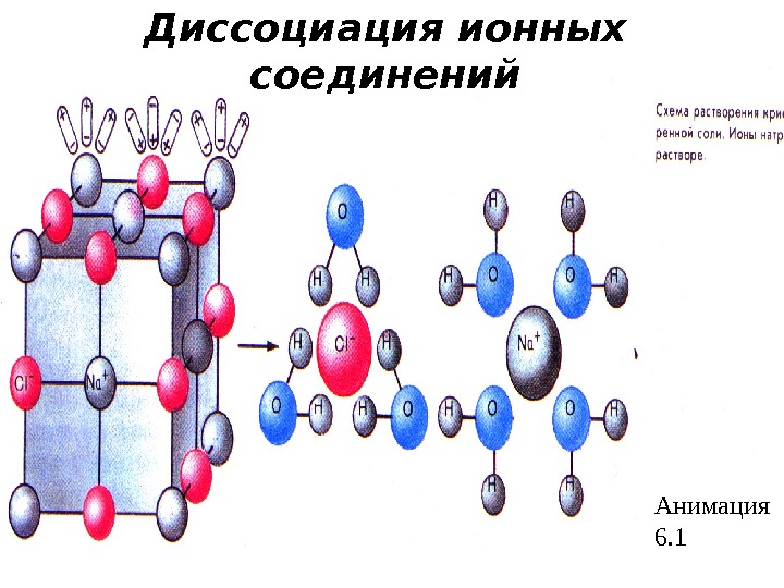 Анимация 6. 1 Диссоциация ионных соединений 