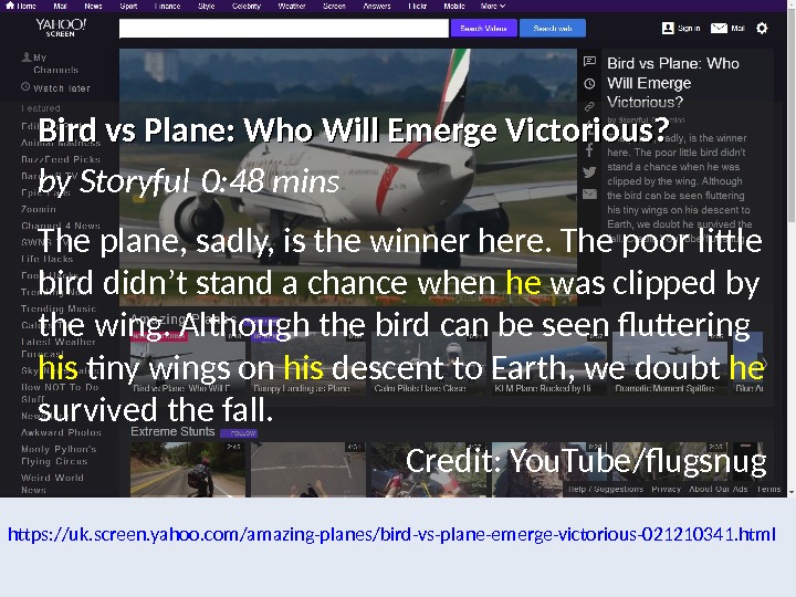 https: //uk. screen. yahoo. com/amazing-planes/bird-vs-plane-emerge-victorious-021210341. html Bird vs Plane: Who Will Emerge Victorious?  by Storyful