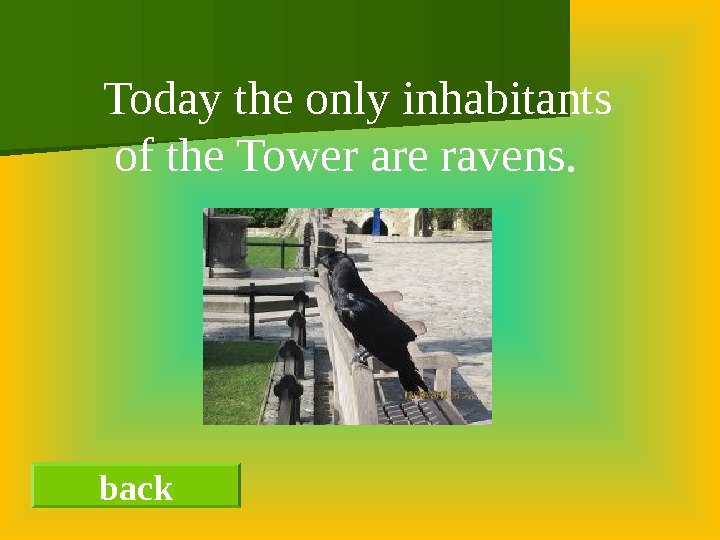 back  Today the only inhabitants of the Tower are ravens. 