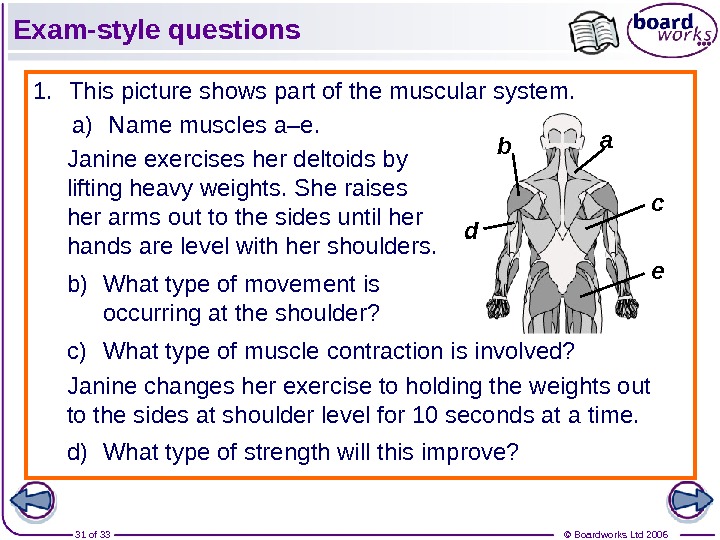 © Boardworks Ltd 200631 of 33 Exam-style questions 1. This picture shows part of the muscular
