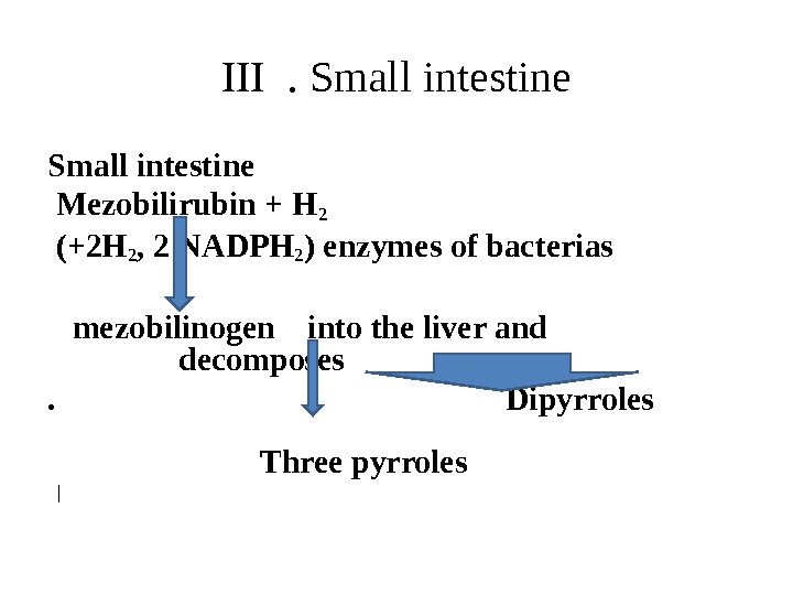 III . Small intestine  Mezobilirubin + H 2  (+2 H 2 , 2 NADPH