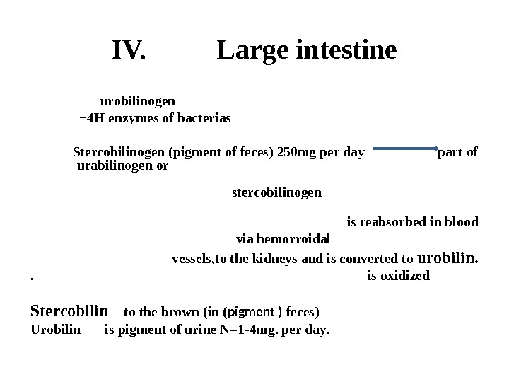 IV.  Large intestine     urobilinogen    +4 H enzymes of
