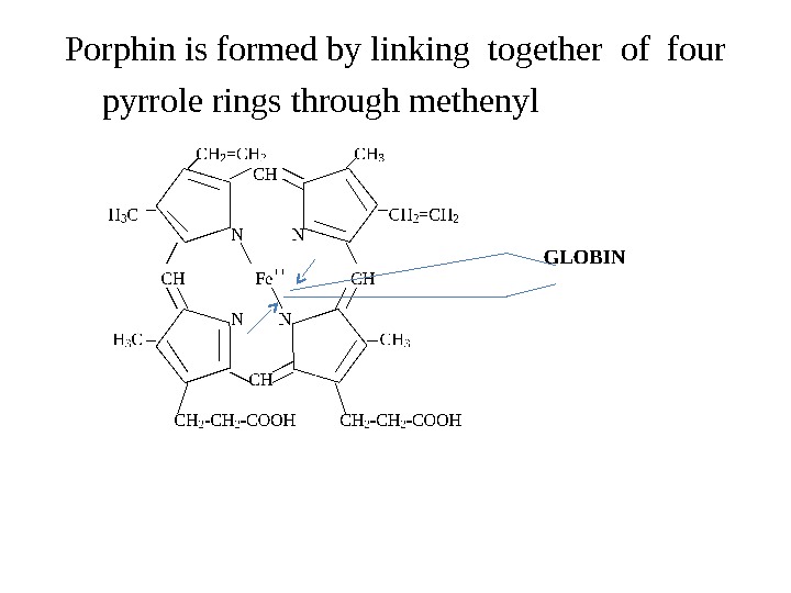 Porphin is formed by linking together of four pyrrole rings through methenyl bridges. 