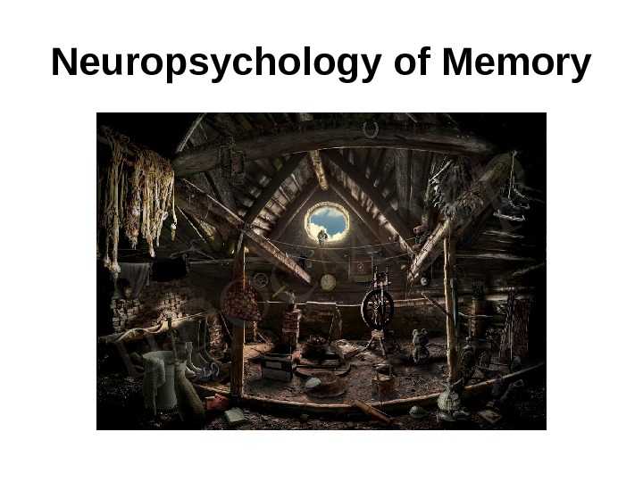   Neuropsychology of Memory 
