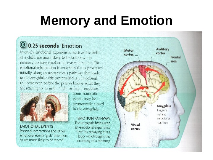   Memory and Emotion 
