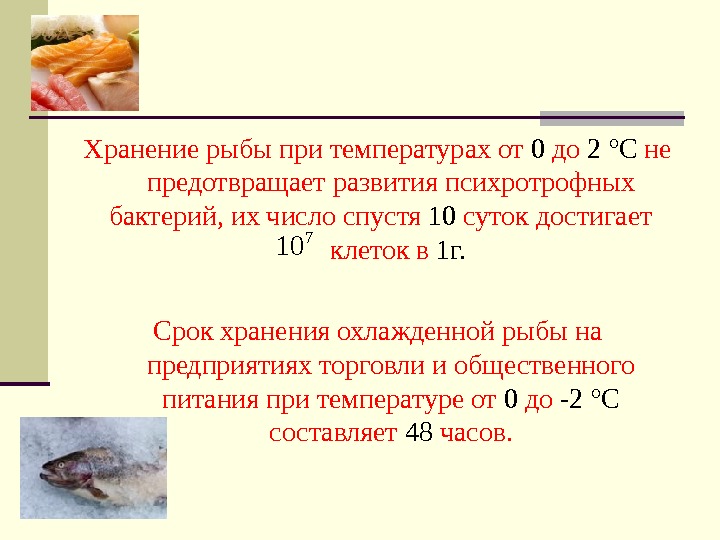 Хранение рыбы при температурах от 0 до 2 ° С не  предотвращает развития психротрофных бактерий,