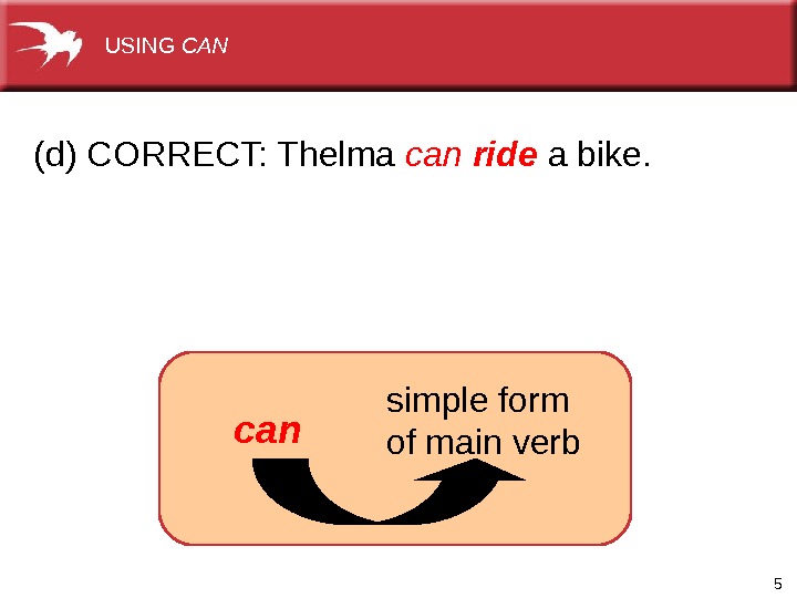 5(d) CORRECT: Thelma can  ride a bike. simple form of main verbcan USING CAN 