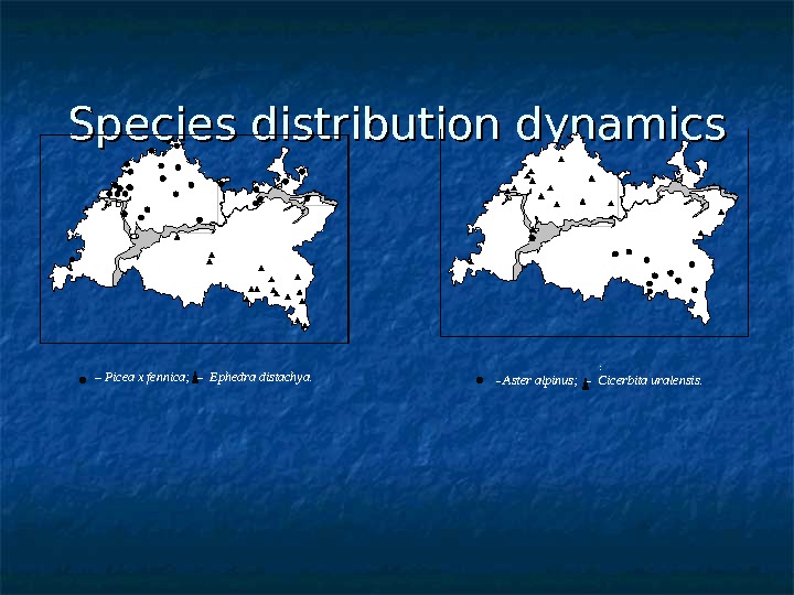   Species distribution dynamics –  Picea x fennica; – Ephedra distachya. : – 