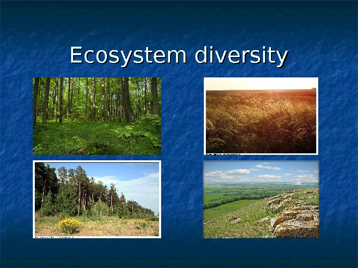   Ecosystem diversity 