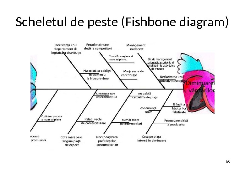 Scheletul de peste (Fishbone diagram) 80 