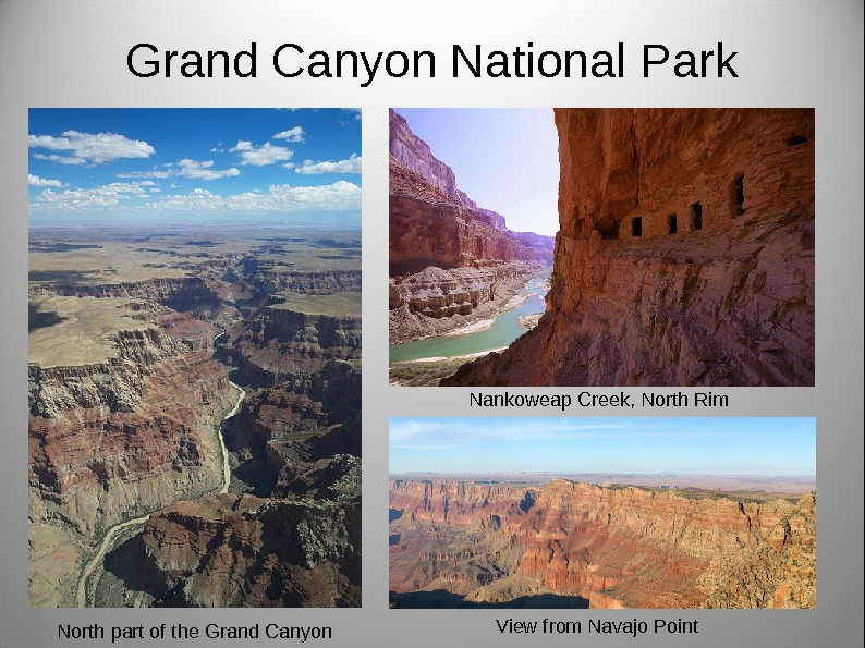 Grand Canyon National Park View from Navajo Point  Nankoweap Creek , North Rim North part