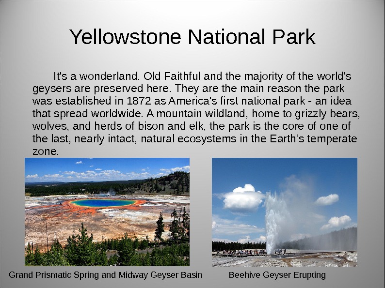 Yellowstone National Park It's a wonderland. Old Faithful and the majority of the world's geysers are
