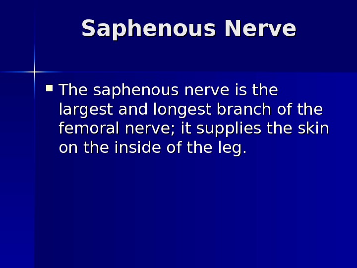   Saphenous Nerve The saphenous nerve is the largest and longest branch of the femoral